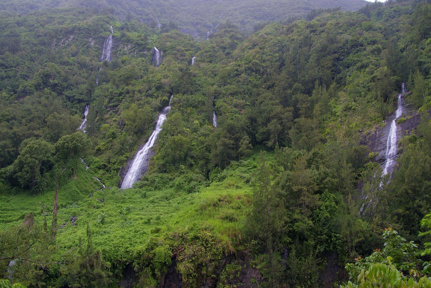 Cascades et eau pure de La Réunion